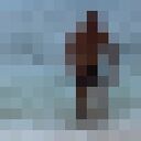 ���������� ������, ���� ������� �����, 36 ���, ������������ ��� ������, ����� � ���������