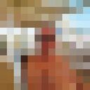  ,   , 54 ,   ,   , c , 