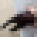  ,   , 21 ,  