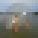  ,   , 59 ,   ,   , c 