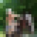  ,   , 46 ,     , c , 