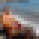  ,   VLAD, 44 ,   