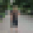 ���������� ����������, ���� ������� �����, 39 ���, ������������ ��� ������