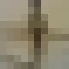  ,   Calal, 51 ,   ,   , c 