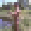  ,   , 44 ,   ,   , c , 