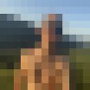 ���������� ���������, ���� ������� �������, 34 ����, ������������ ��� ������, ����� � ���������