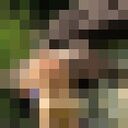 ������� �� ����