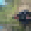  ,   STAFFOR, 45 ,   ,   , c 