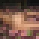 ���������� �������, ���� ������� ������, 44 ����, ������������ ��� ������