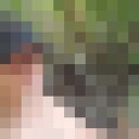 ���������� �����������, ���� ������� �������, 34 ����, ������������ ��� ������, ����� � ���������, ���������