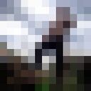 ���������� ������-��-����, ���� ������� �������, 35 ���, ������������ ��� ������, ����� � ���������, ���������