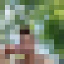  ,   , 39 ,   c 
