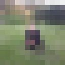 ���������� ����, ���� ������� Gatis, 34 ����, ������������ ��� ������, ����� � ���������, c�������� ���������