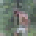 ���������� ���������, ���� ������� ������, 31 ���, ������������ ��� ������, ����� � ���������