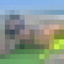 ���������� ���������, ���� ������� ����, 28 ���, ������������ ��� ������, ����� � ���������