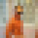 ���������� �������, ���� ������� ������, 47 ���, ������������ ��� ����� � ���������, c�������� ���������