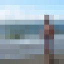 2019 - �������