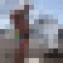  ,   , 49 ,   ,   , c , 
