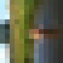  ,   , 50 ,   ,   