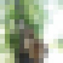 ���������� ����, ���� ������� �����, 30 ���, ������������ ��� ������, ����� � ���������, c�������� ���������