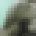  ,   Igor, 53 ,     , c 