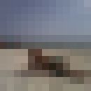 ���������� ������, ���� ������� ������, 50 ���, ������������ ��� ������