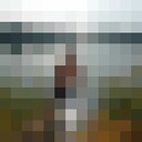 ���������� ���������, ���� ������� Vladmir, 26 ���, ������������ ��� ������, ���������