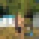 ���������� ���������, ���� ������� �����, 37 ���, ������������ ��� ������, ����� � ���������