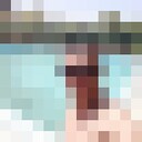 ���������� ���������, ���� ������� ������, 37 ���, ������������ ��� ������, ����� � ���������