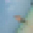 ���������� ���������, ���� ������� ����, 38 ���, ������������ ��� ������, ����� � ���������, c�������� ���������