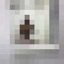 ���������� ���������, ���� ������� ��������, 26 ���, ������������ ��� ������