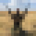 ���������� ��������, ���� ������� ����, 33 ����, ������������ ��� ������, ����� � ���������, c�������� ���������