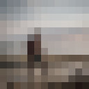  ,   TwstdAnm, 31 ,   ,   