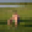 ���������� ����, ���� ������� ��������, 46 ���, ������������ ��� ����� � ���������, c�������� ���������