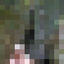 ���������� �������, ���� ������� ������, 62 ����, ������������ ��� ������, ����� � ���������, c�������� ���������