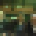 ���������� �����, ���� ������� Mischa, 30 ���, ������������ ��� ������