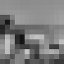 ���������� ������, ���� ����� ������, 22 ����, ������������ ��� ������, ����� � ���������