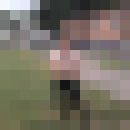  ,   DANTIST131, 45 ,     , c 