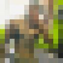 ���������� ������, ���� ������� �����, 26 ���, ������������ ��� ������, ����� � ���������, c�������� ���������