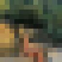  -,   , 22 ,   ,   