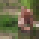  ,   , 45 ,   ,   , c , 