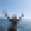  ,   Paul, 29 ,   ,   , 