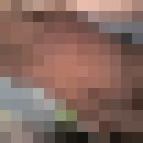  ,   Mixa, 41 ,   ,   , c , 