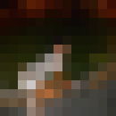  ,   , 42 ,  
