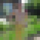  ,   , 45 ,   ,   , 