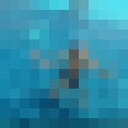 ���������� ��������, ���� ������� ������, 32 ����, ������������ ��� ������, ����� � ���������