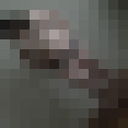 ���������� �������, ���� ������� �����, 36 ���, ������������ ��� ������, ����� � ���������, c�������� ���������