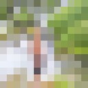  ,   Nadir, 34 ,   ,   , c 