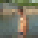  ,   , 34 ,   