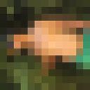 ���������� ��, ���� ������� ����, 47 ���, ������������ ��� ����� � ���������, c�������� ���������